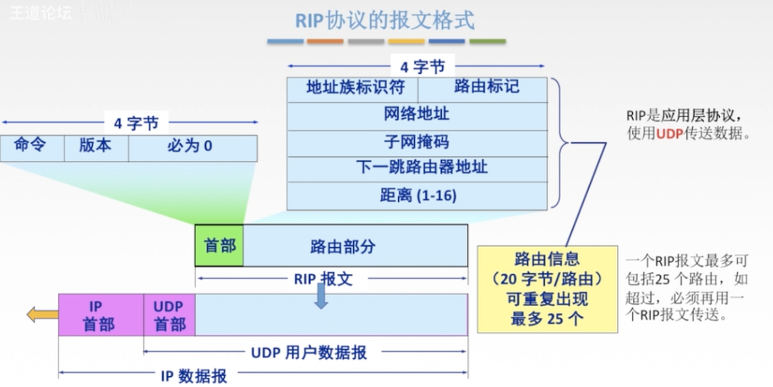 RIP报文